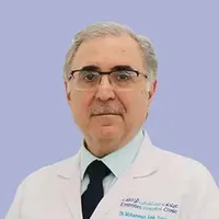 Dr. Mohammad Amir Tuleimat